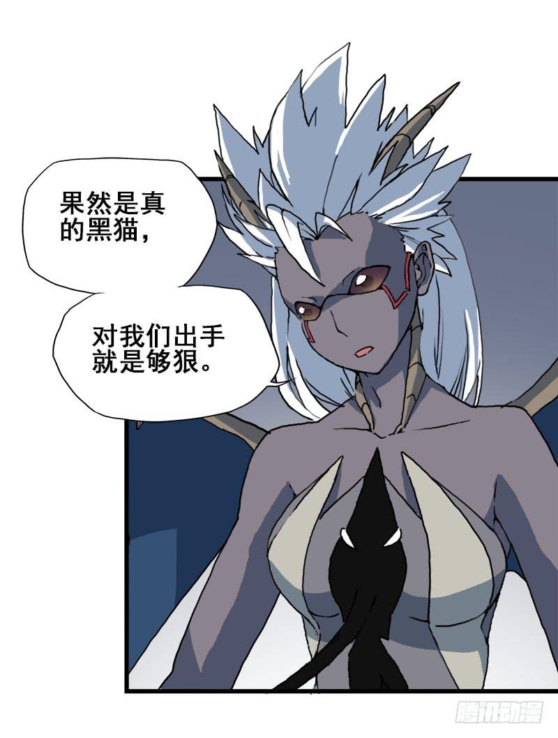 11.货真价实的黑猫39