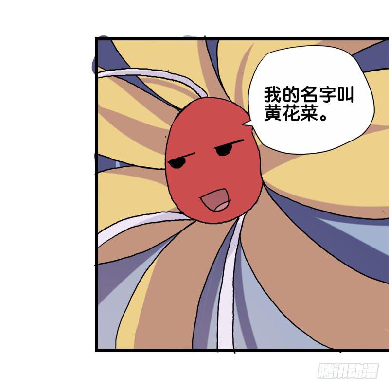 22.秩序者20