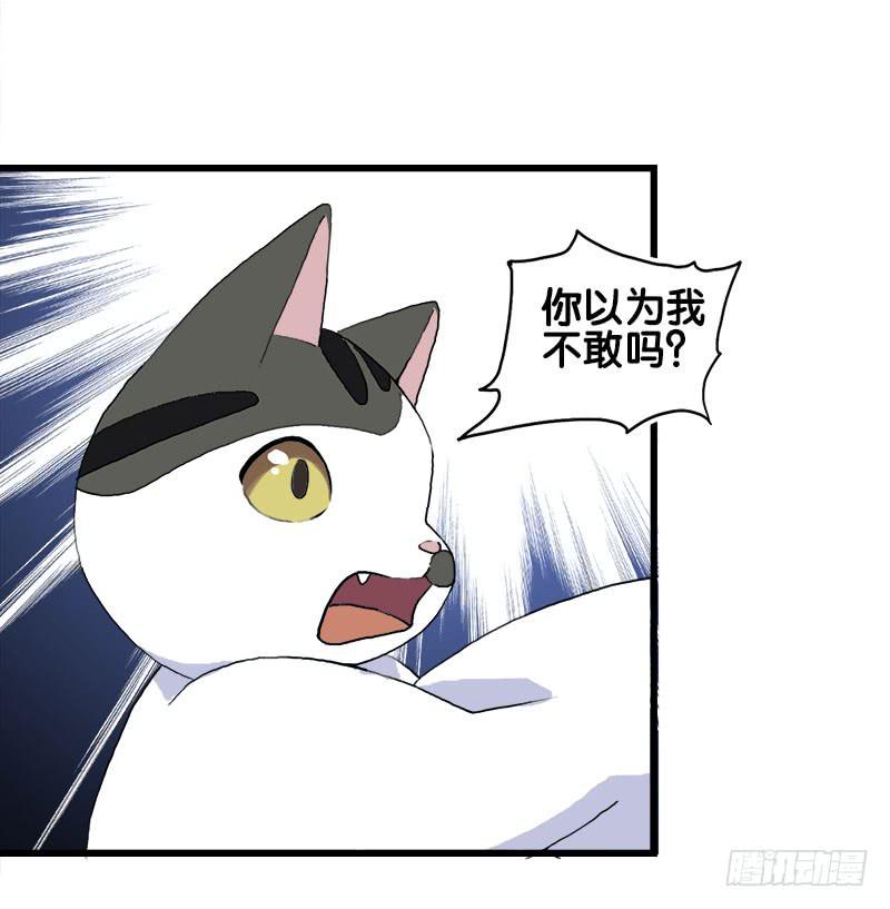 14.我非常讨厌魔法师8
