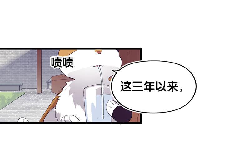 13.猫老大12