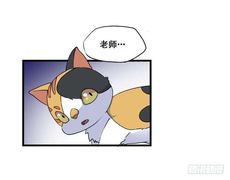 5.黑猫的合约14
