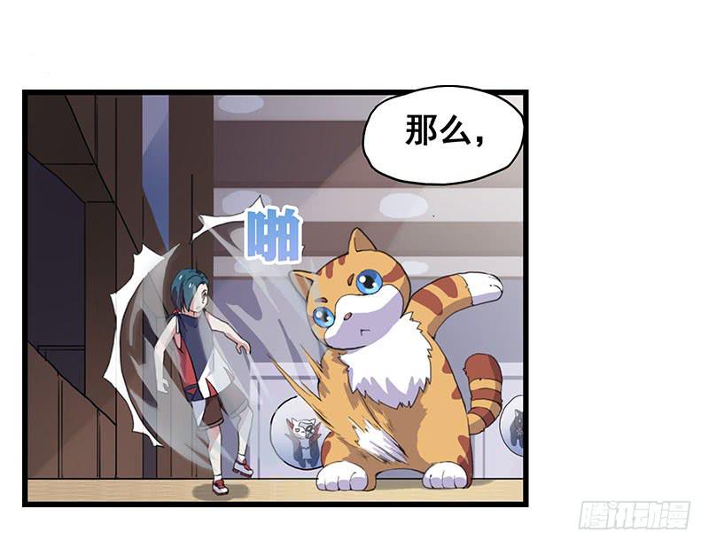 3.黑猫的继承者18