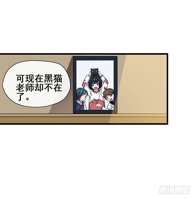 3.黑猫的继承者40