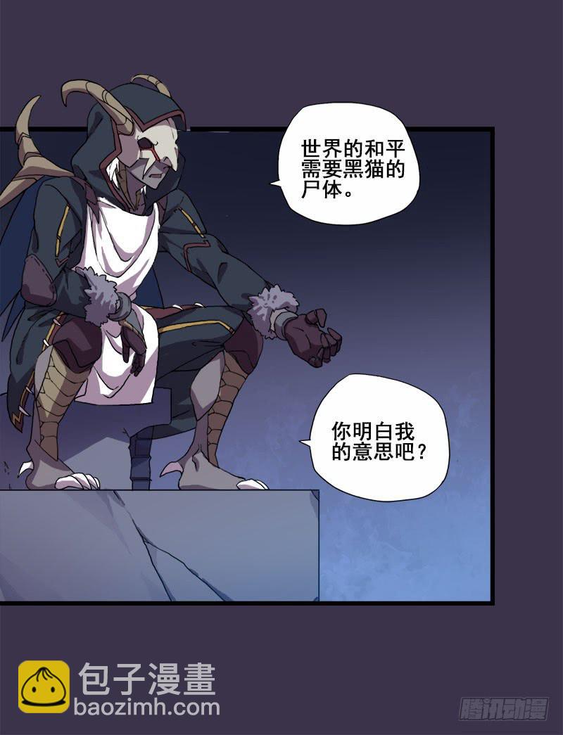 3.黑猫的继承者48