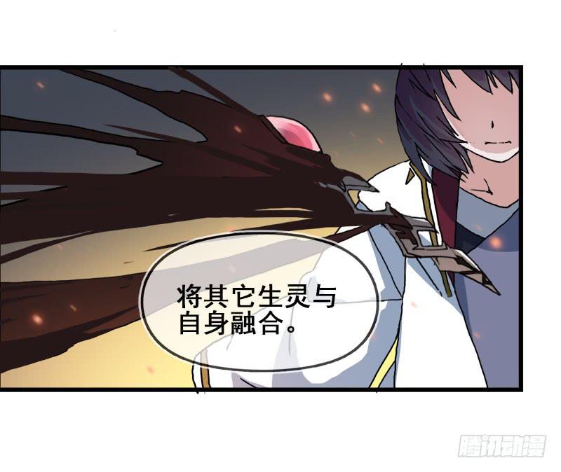 11.货真价实的黑猫27
