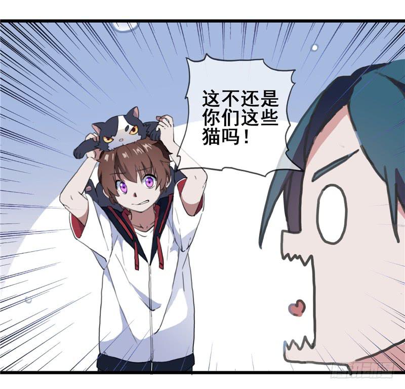 1.大魔法师74