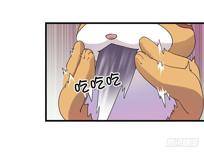 3.黑猫的继承者1