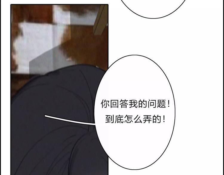 第10话  LION4