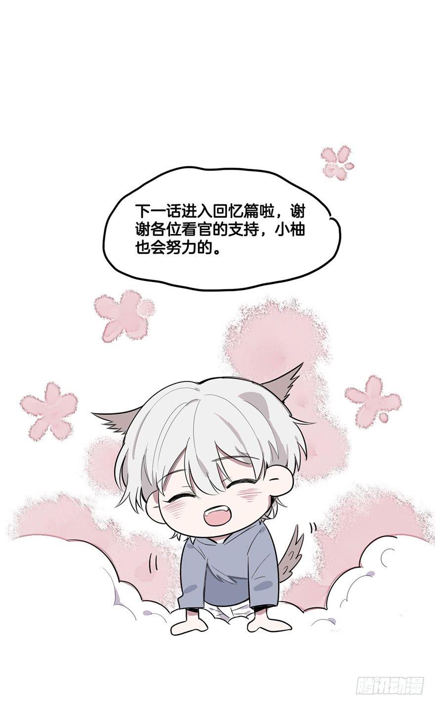 打击41