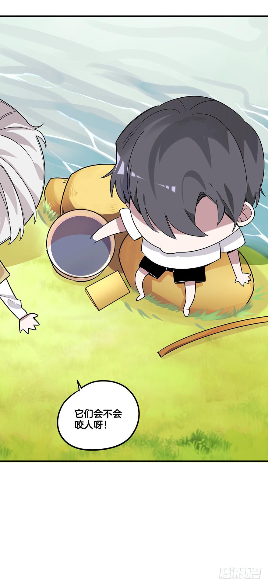 故意接近12