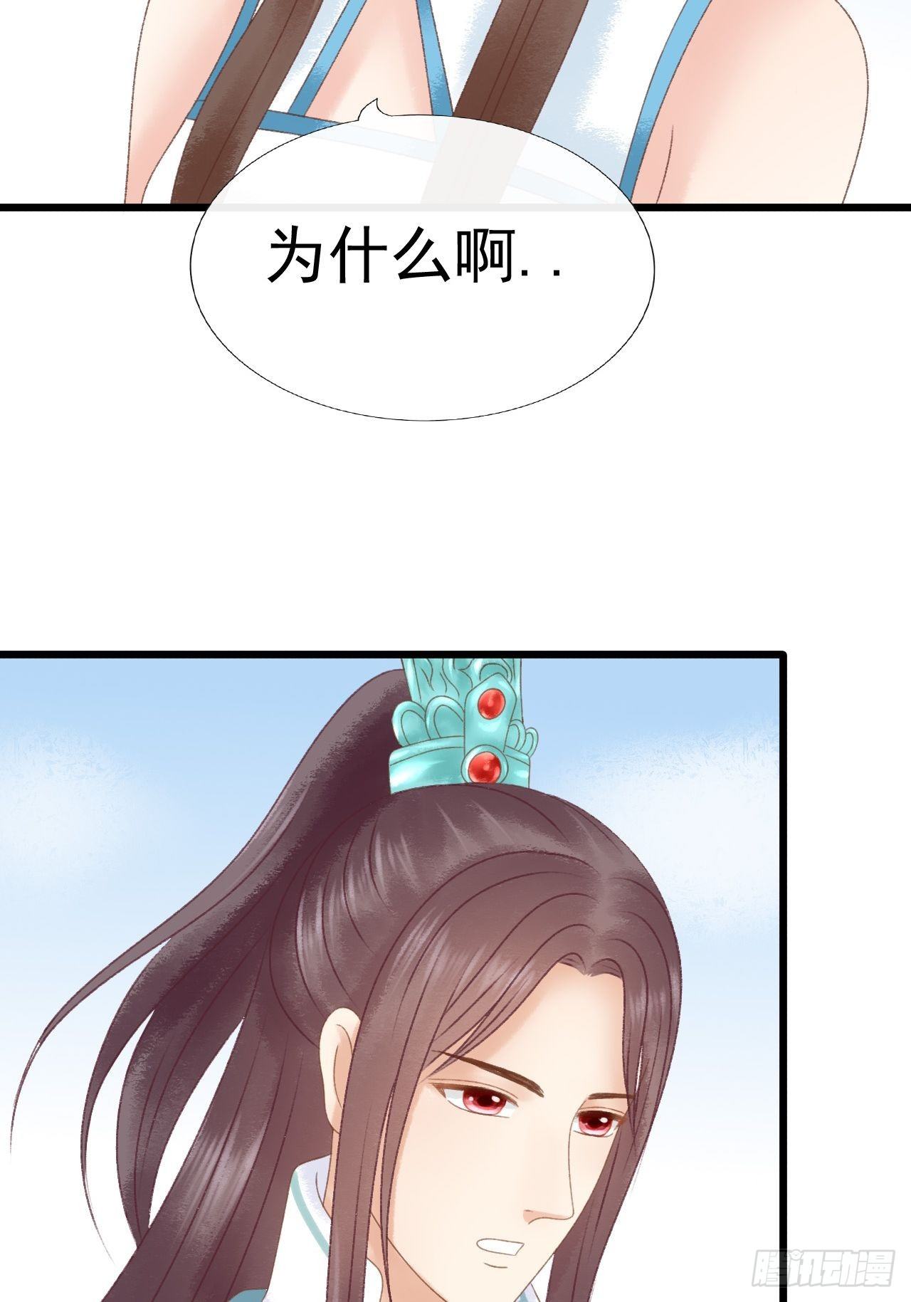 宠物22