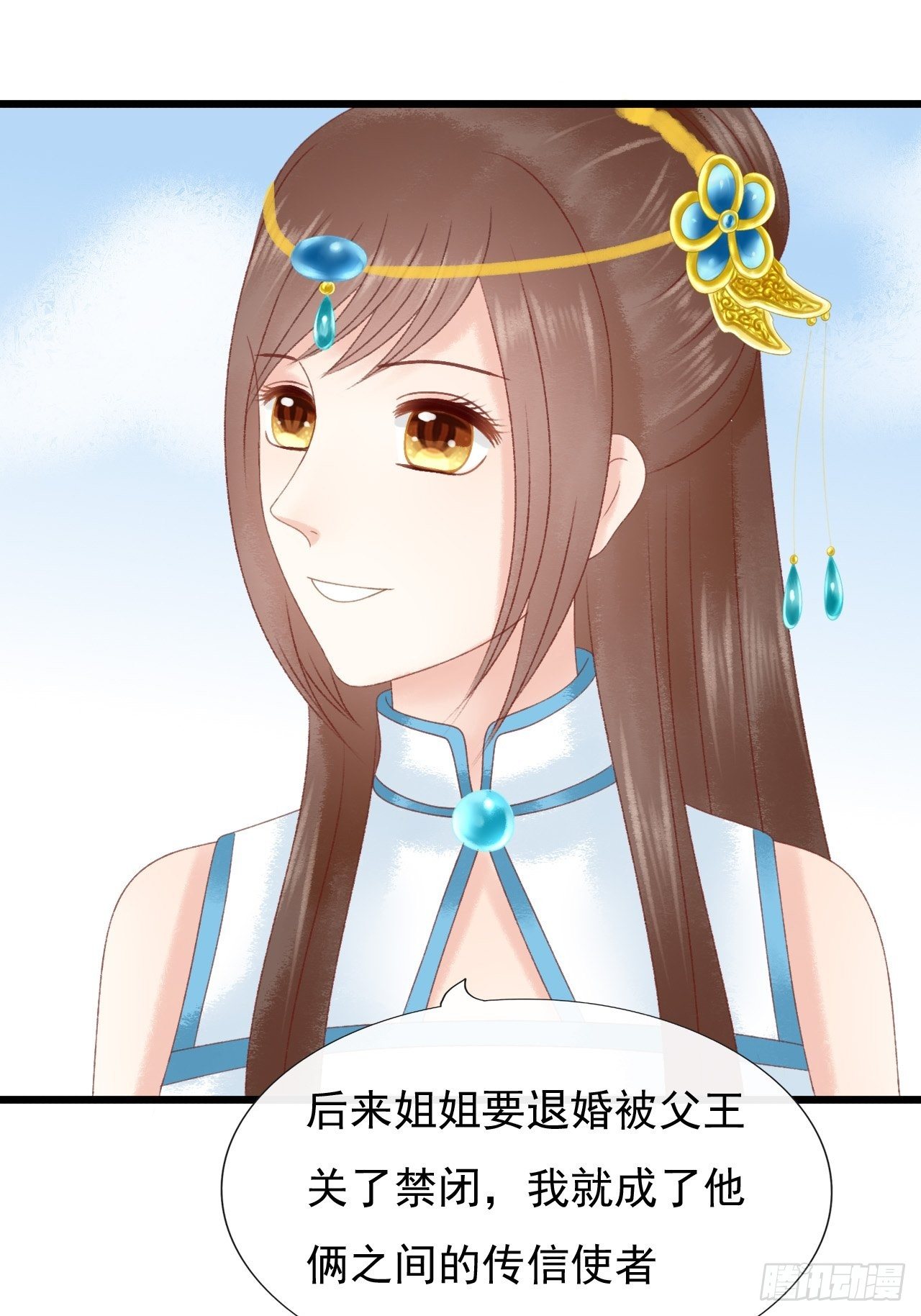 宠物17