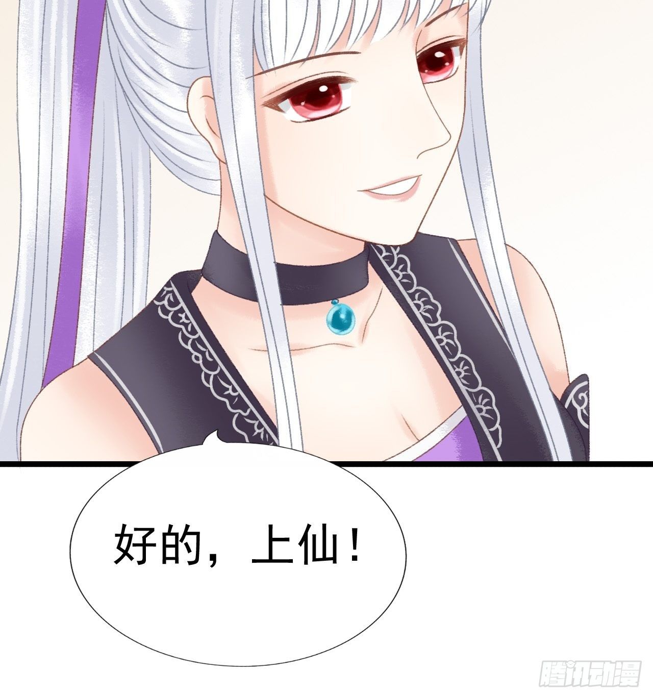 宠物8