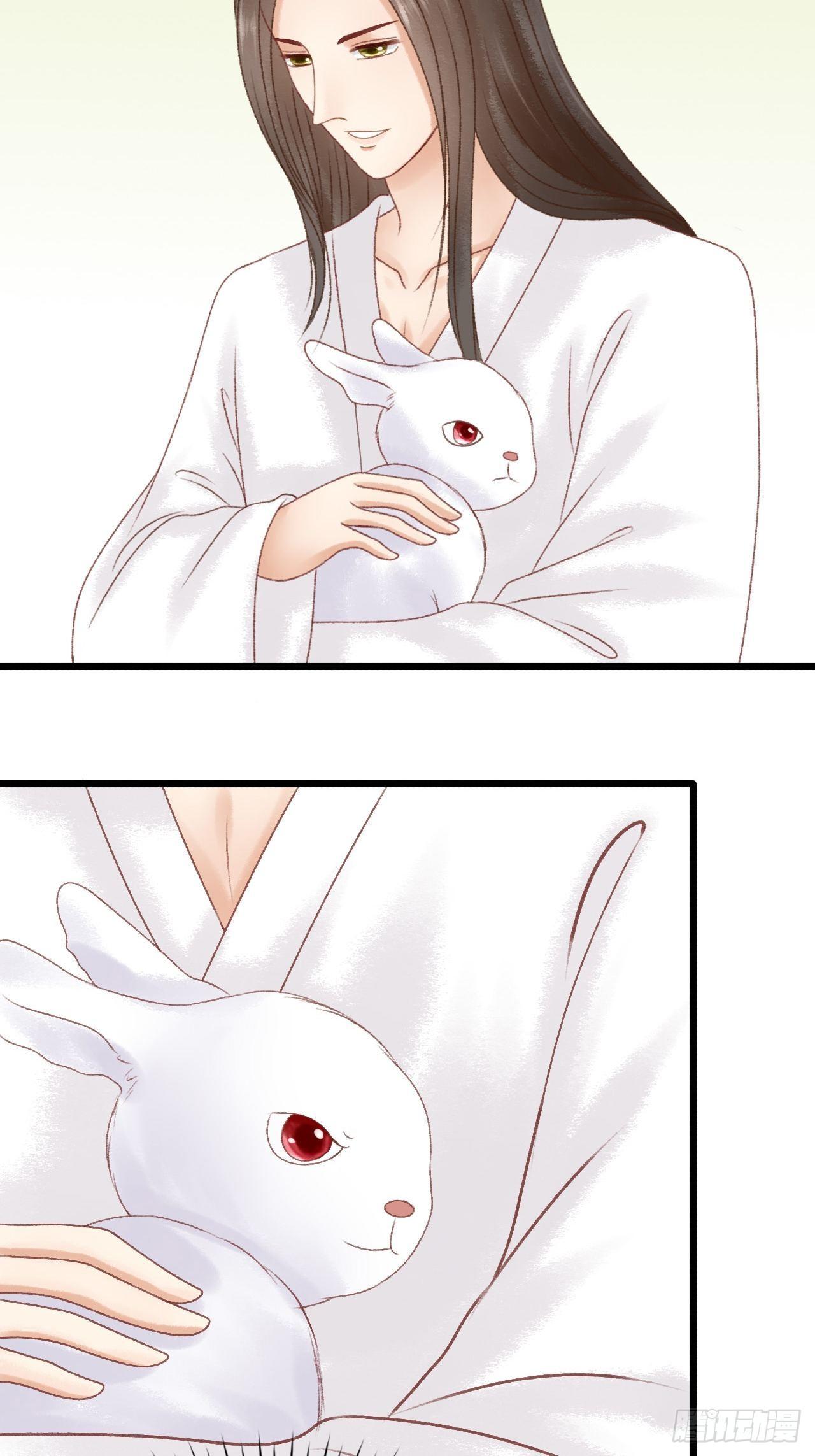 宠物10