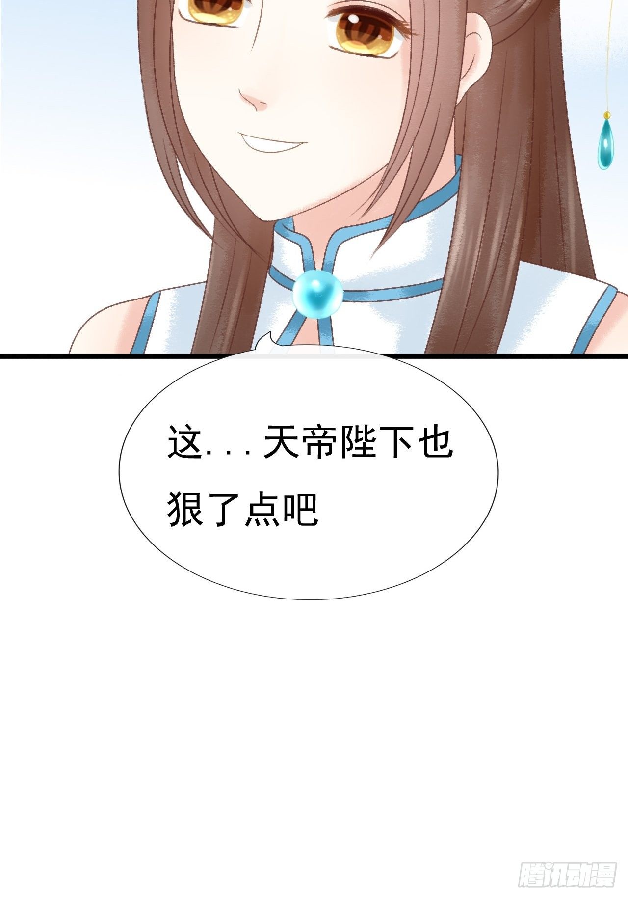 宠物24