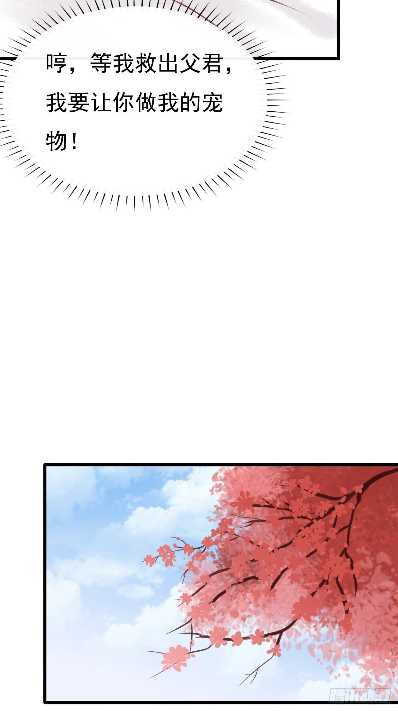 宠物11