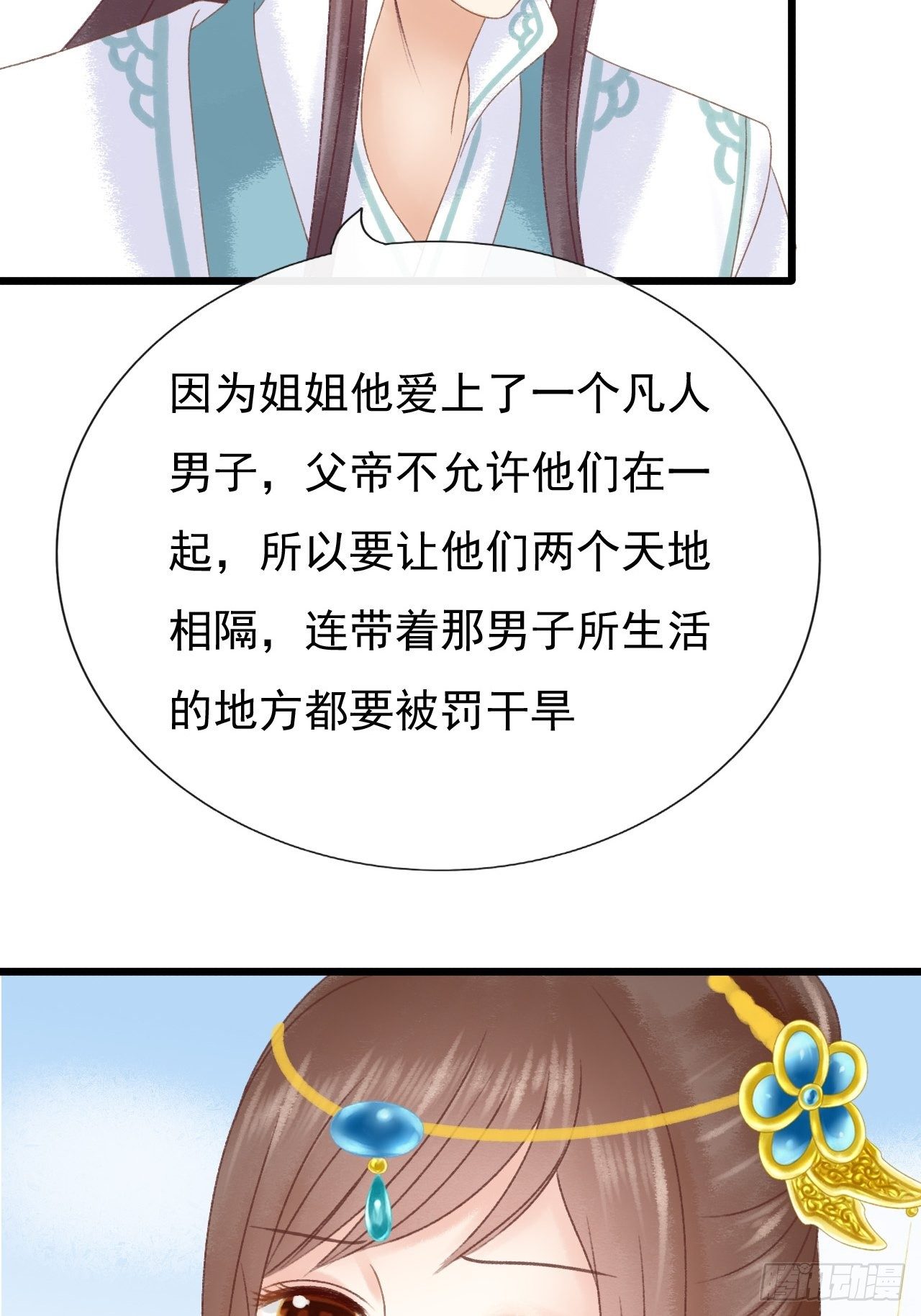 宠物23