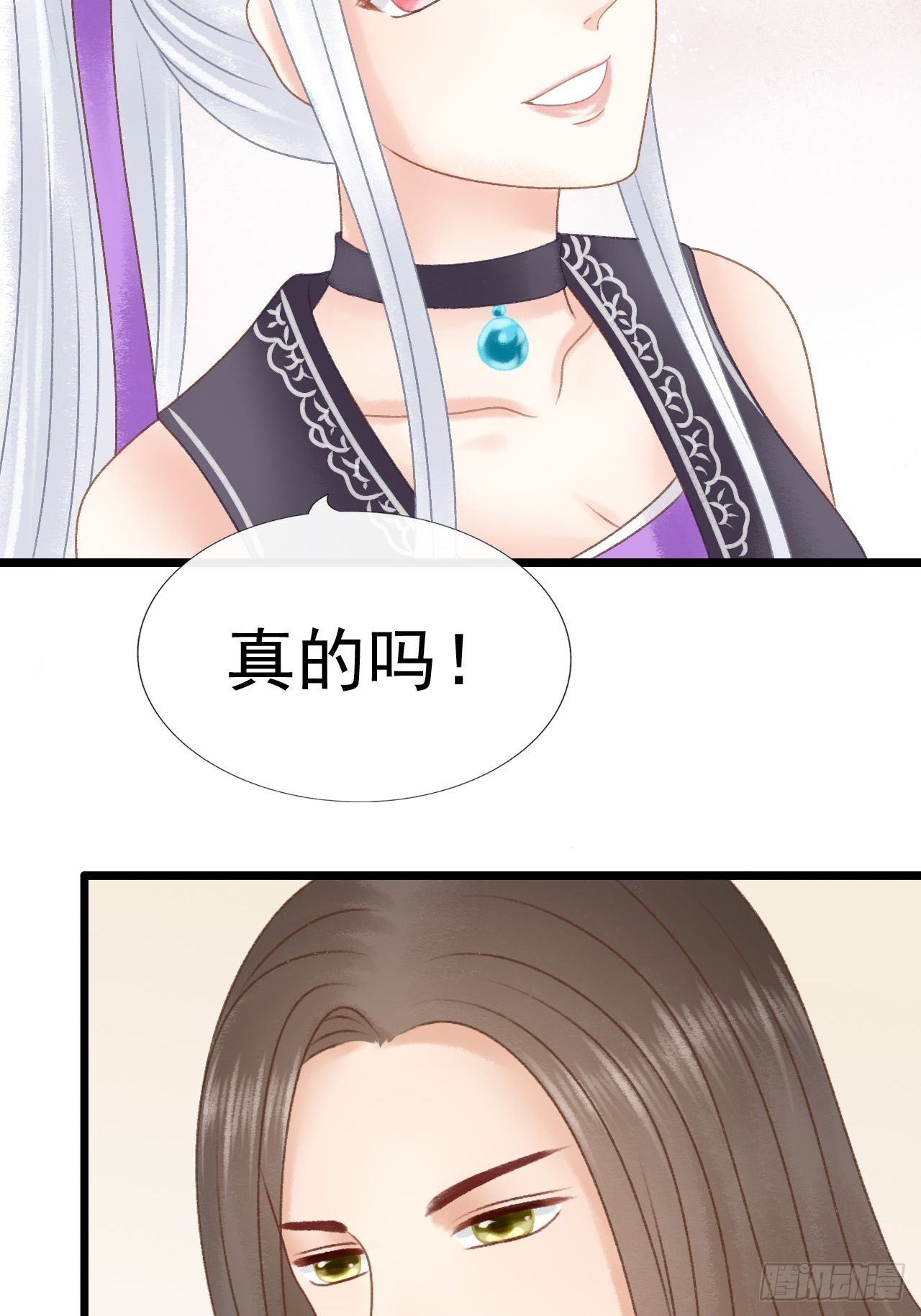 宠物6