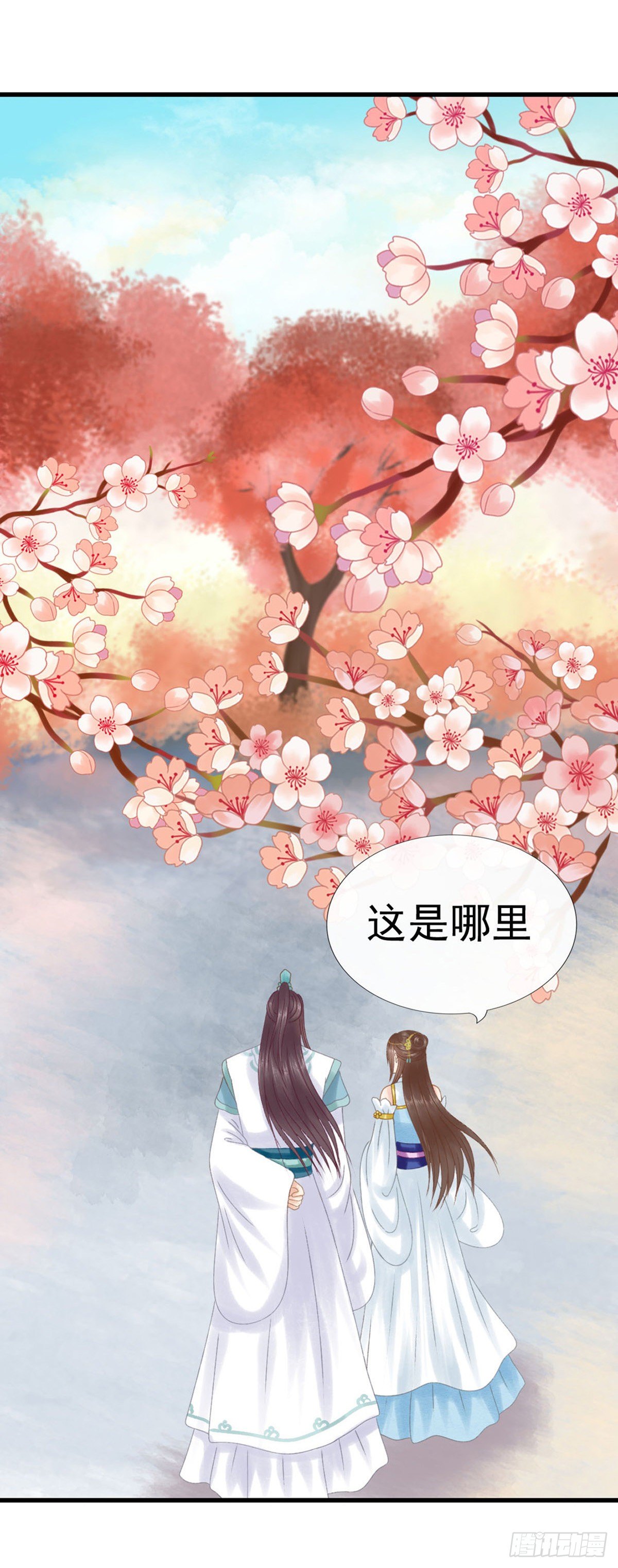 被安排了12