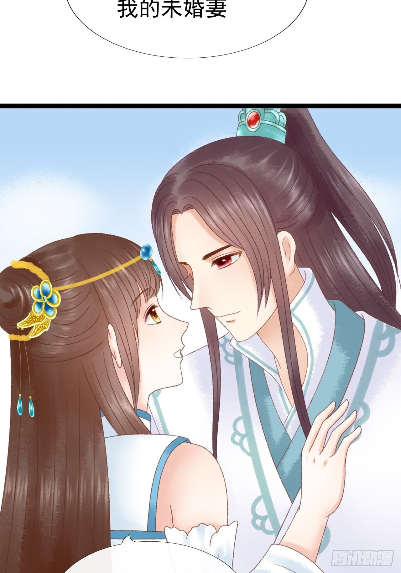 宠物19