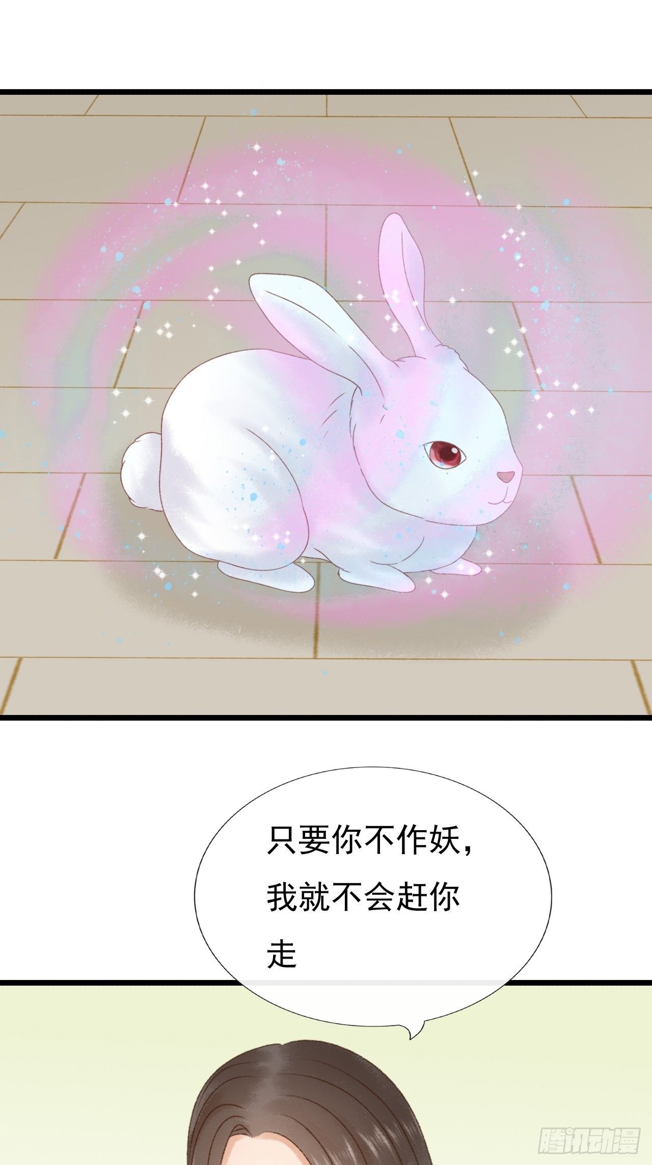 宠物9