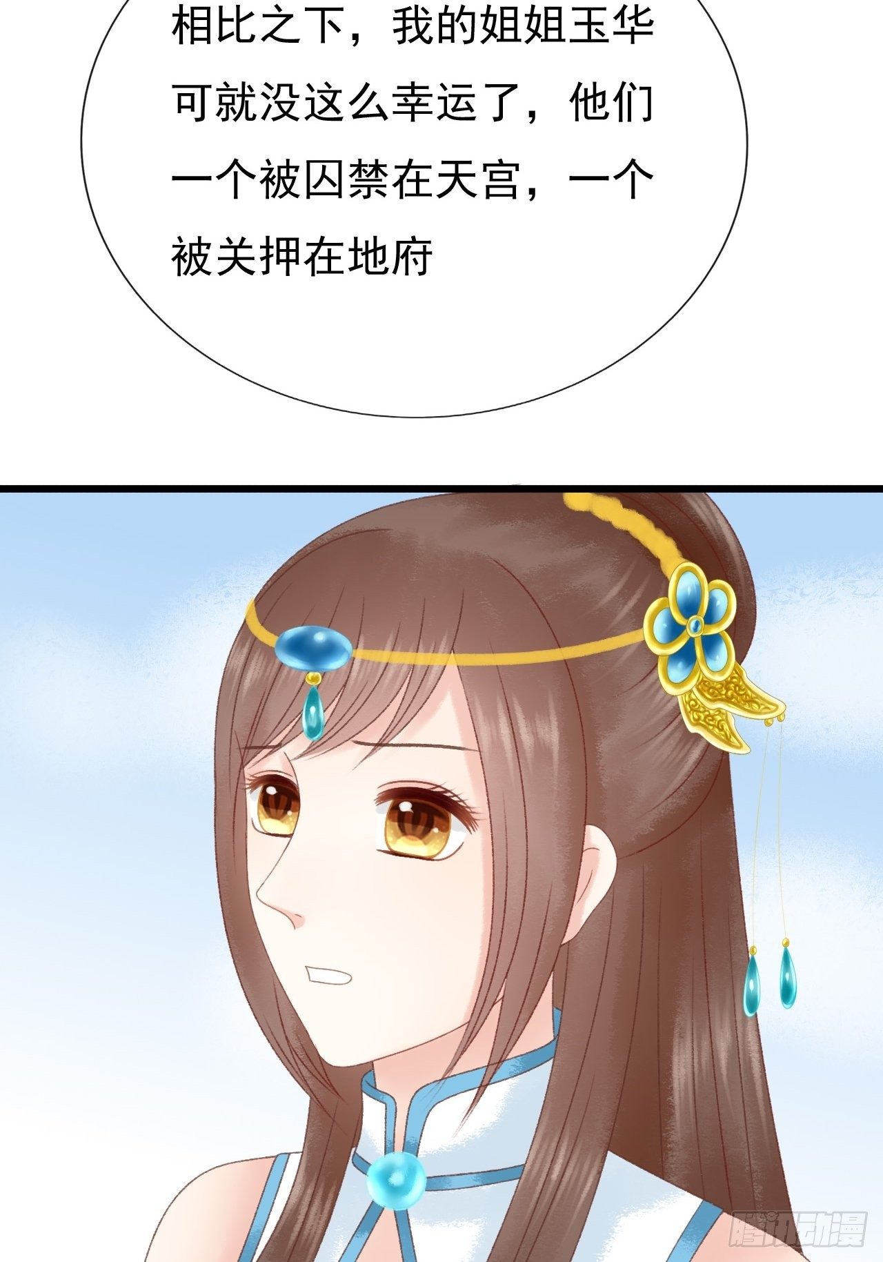 宠物21