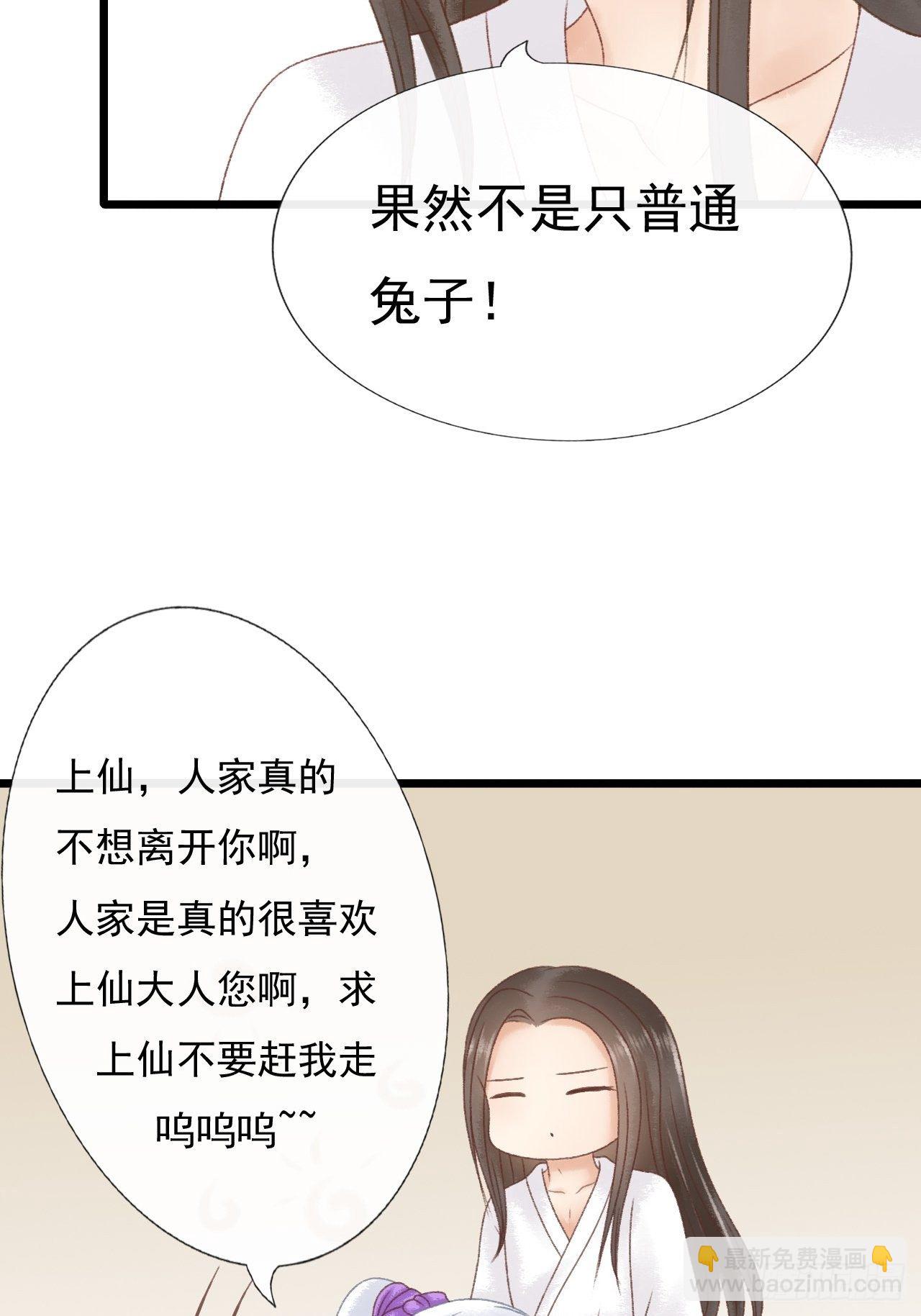 宠物3