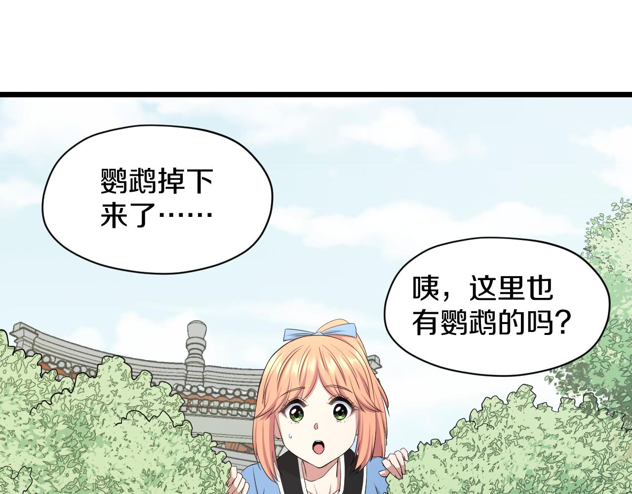第26话 小鹉50