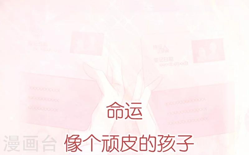 预告3