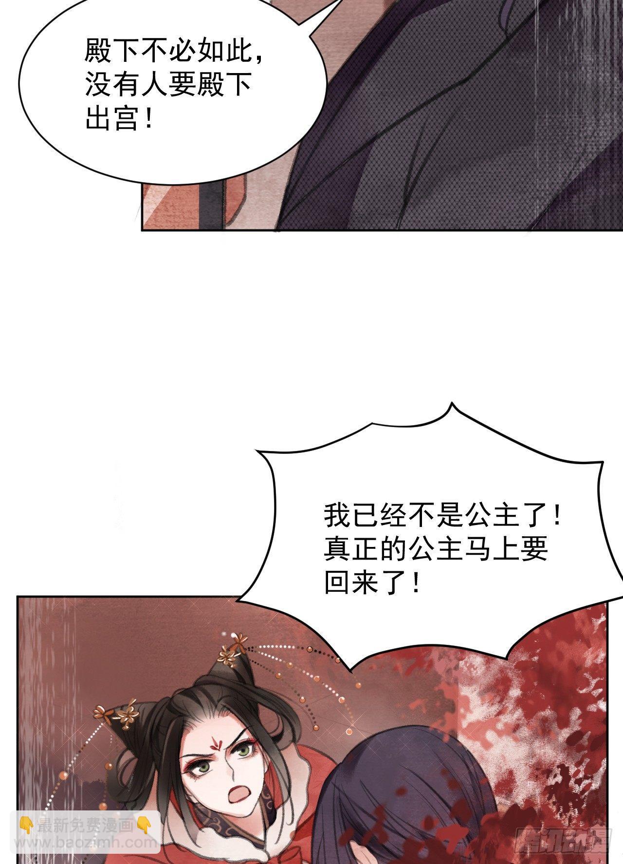 真假公主27