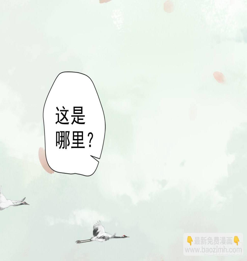 神秘少年5
