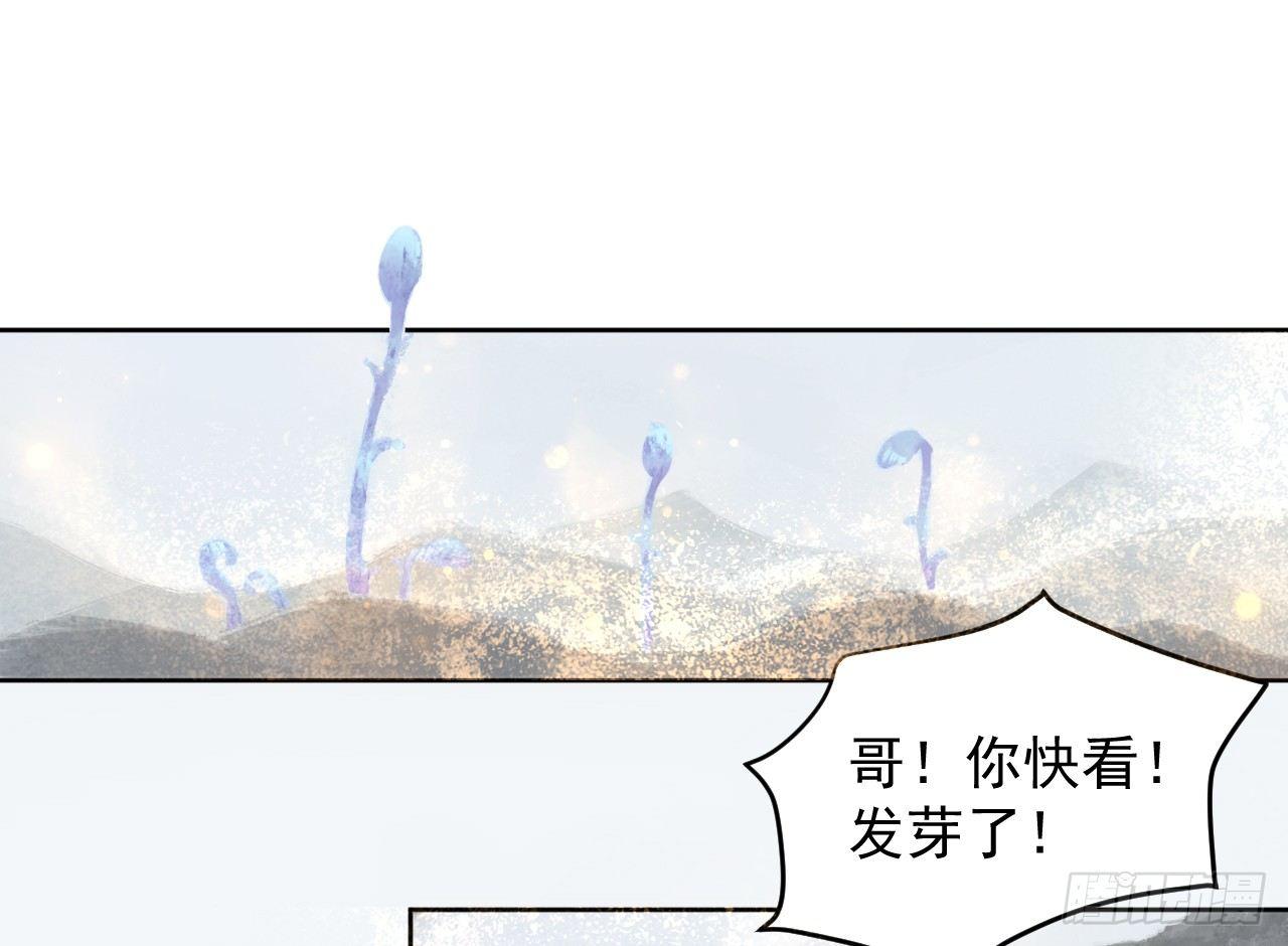 净化土地35