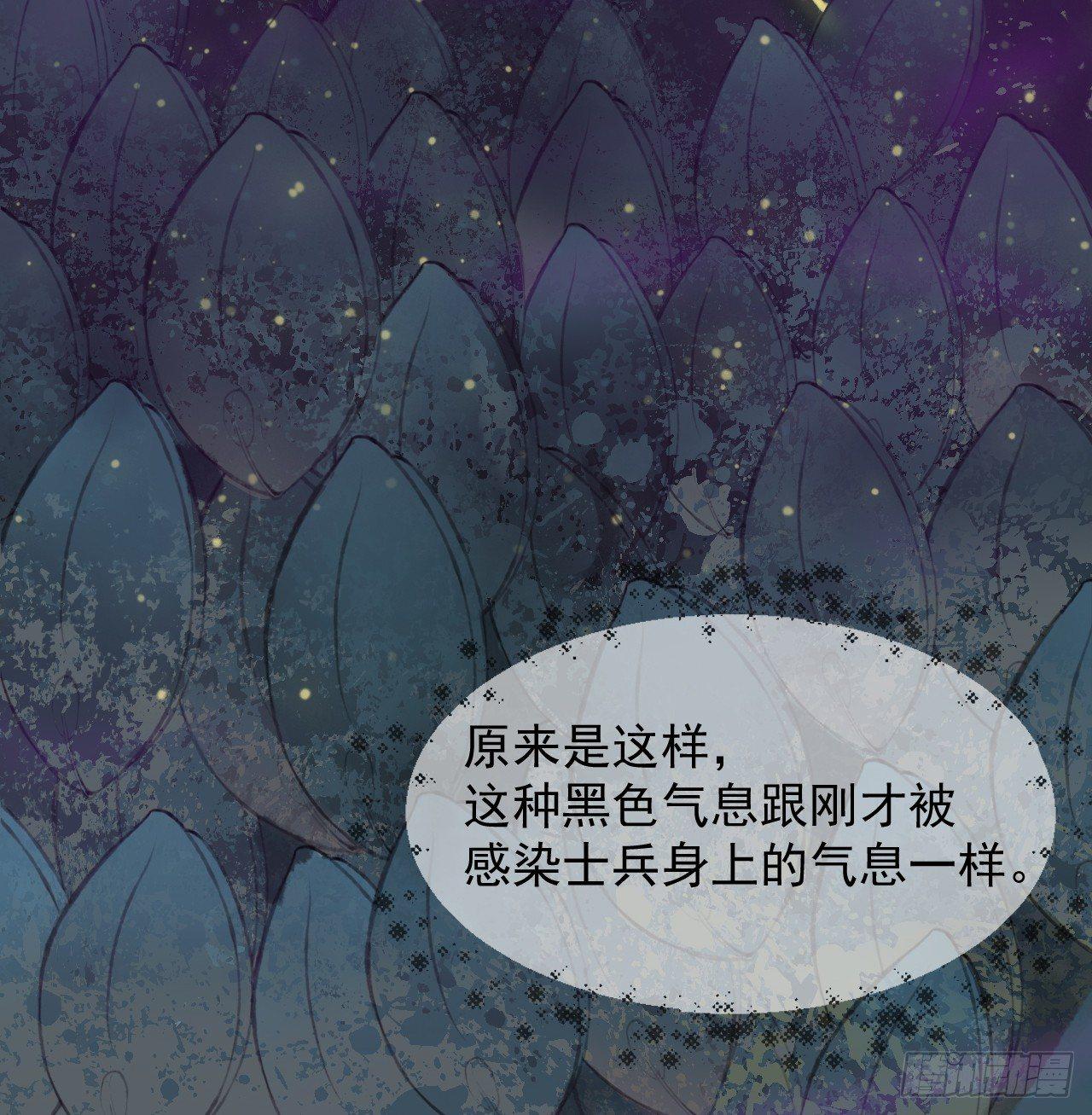 净化土地19