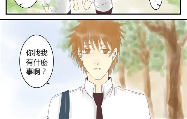 第19话 哥哥一定不会离开我的9