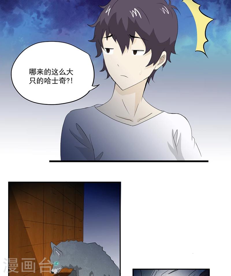 第13话 有条狗9