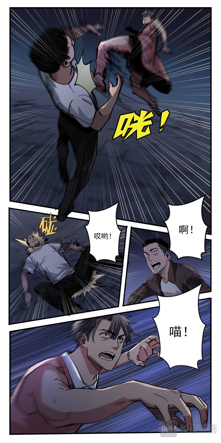 第4话 猫生赢家1