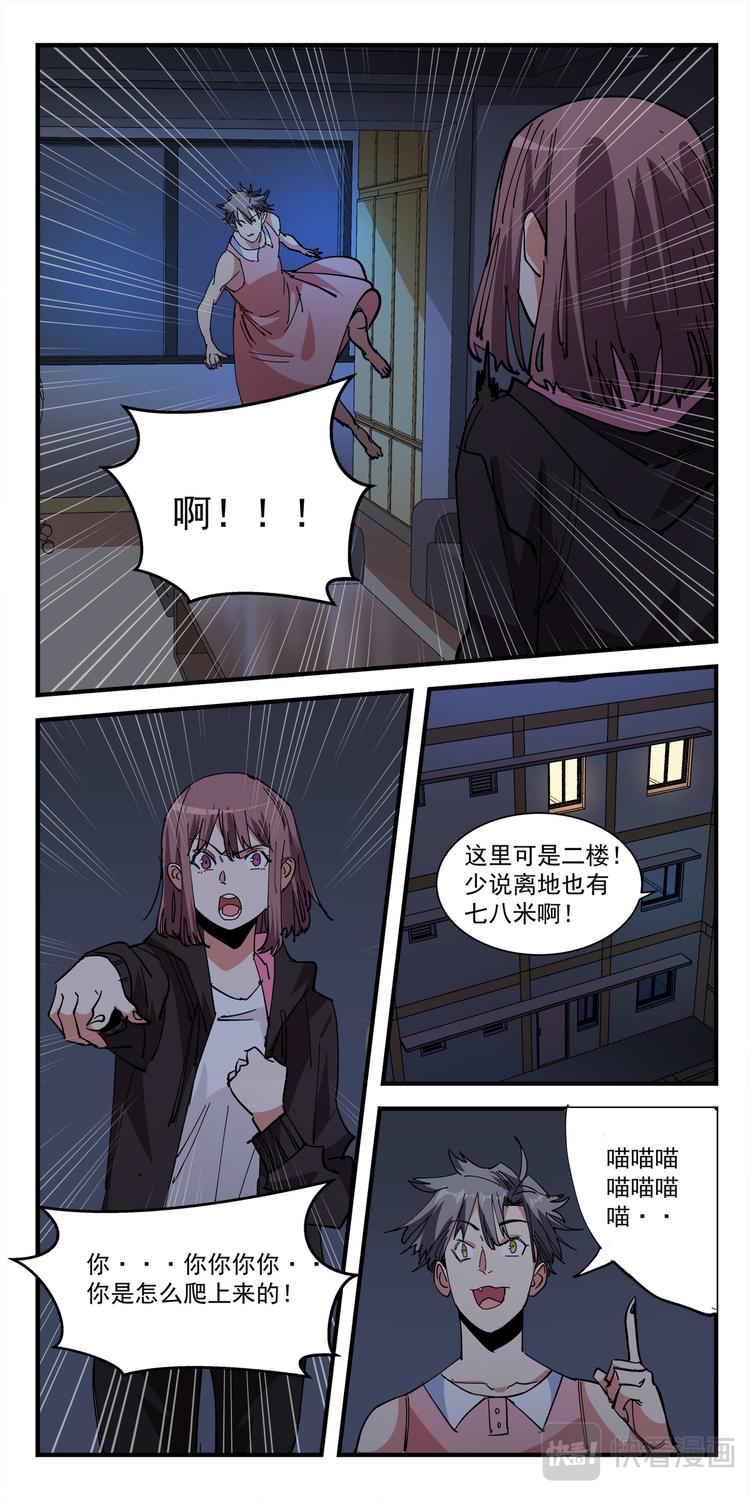 第4话 猫生赢家13