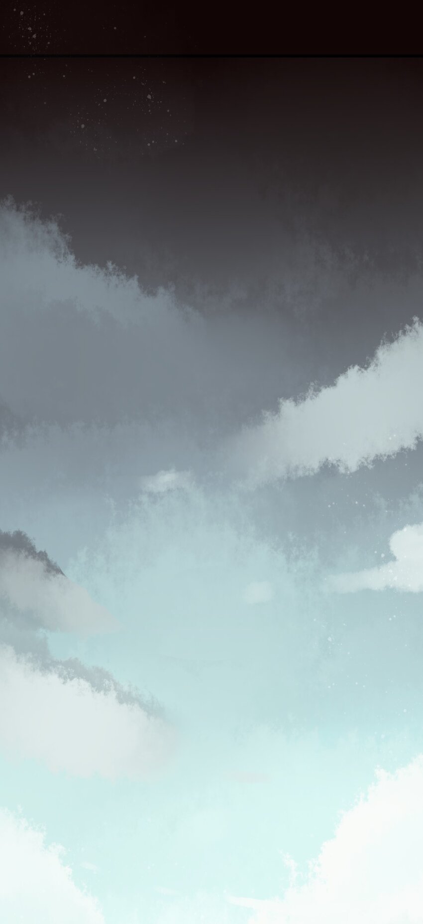 81
