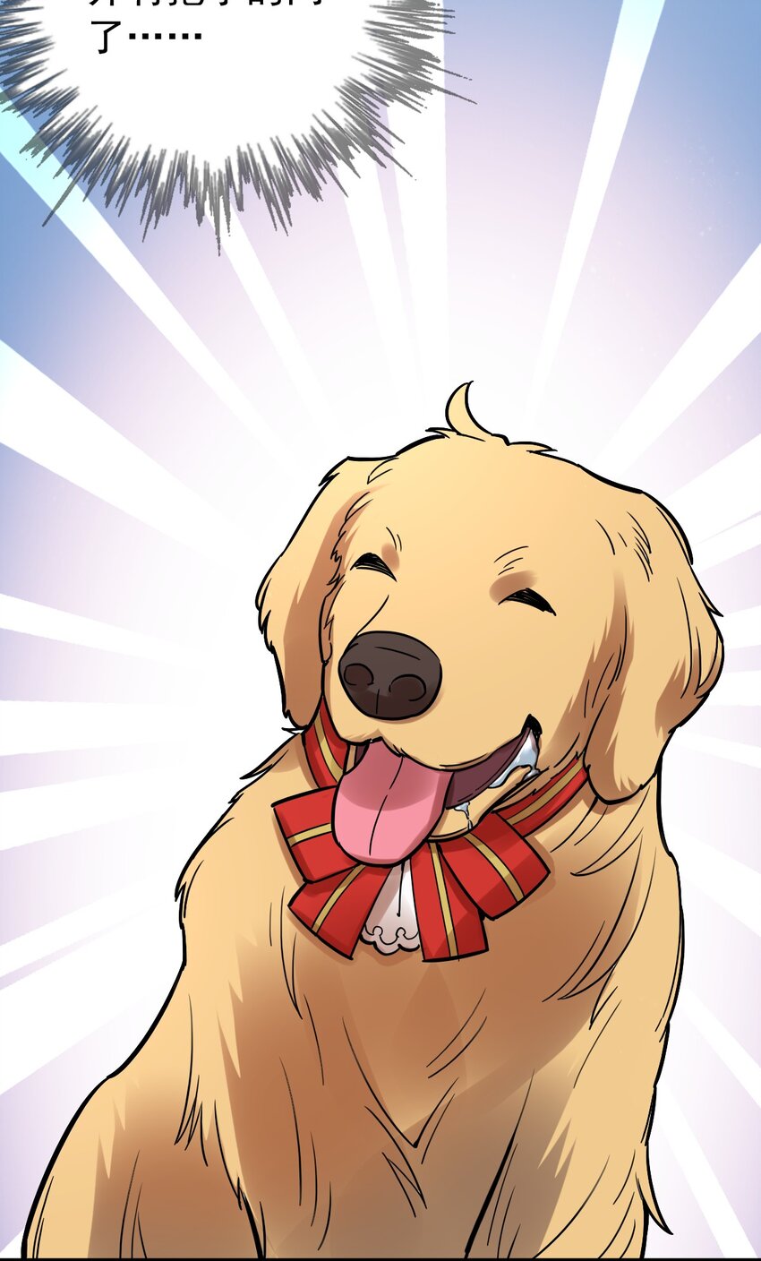 3628