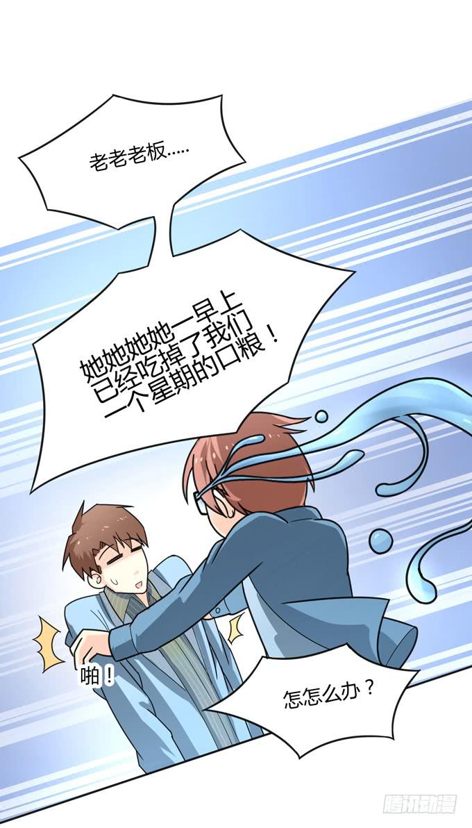 乔亚到货65