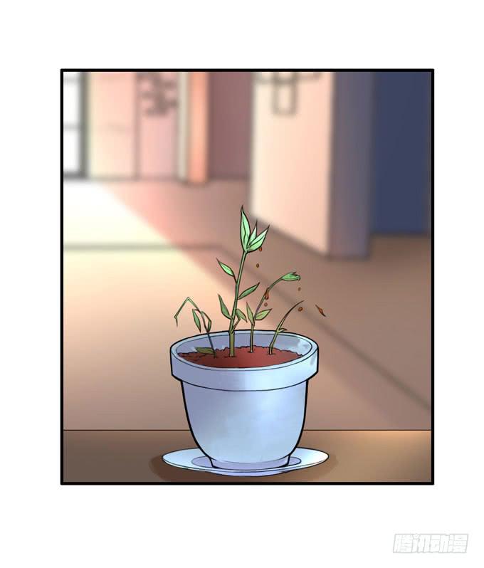 你爱她吗55