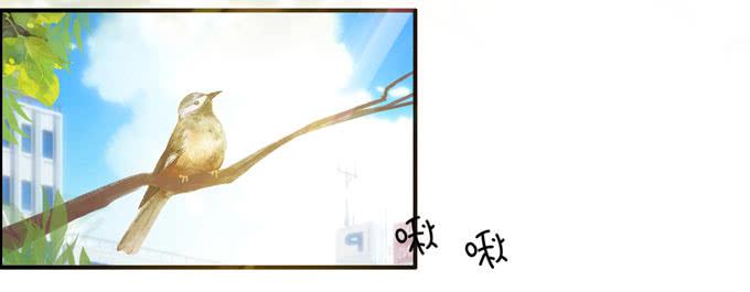 屁九的差距45