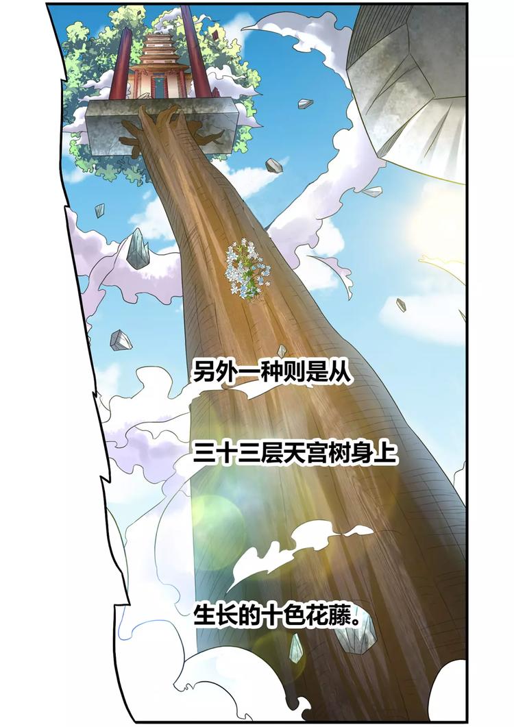 第24话 功法传承5