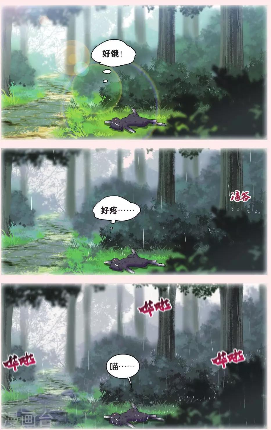 第28话 别扭猫和忠犬狗二5