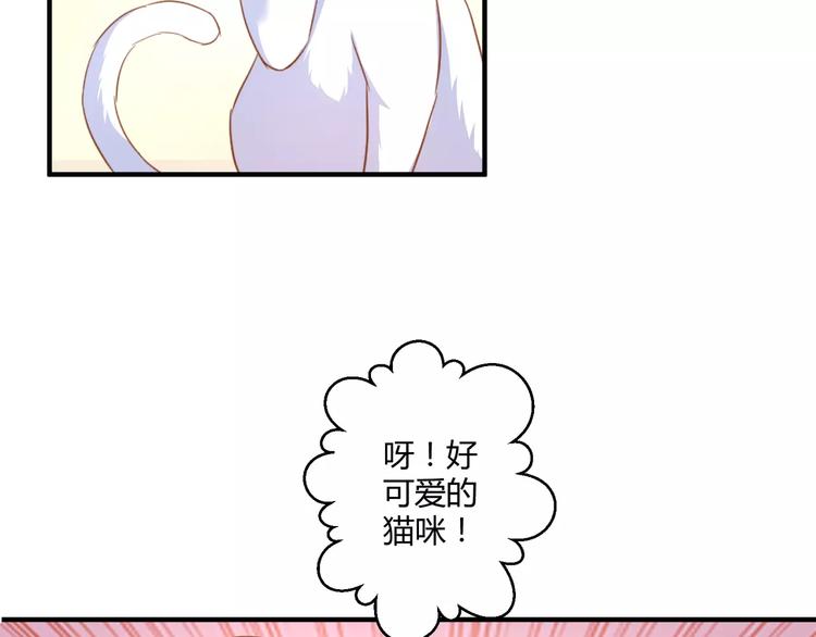 第23话 意外的发现22