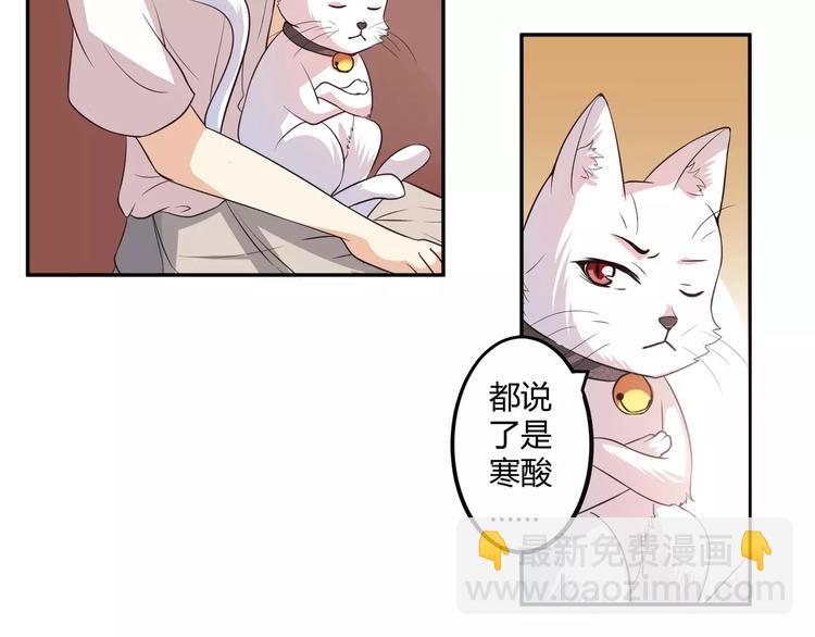 第5话 贤惠的单身狗34