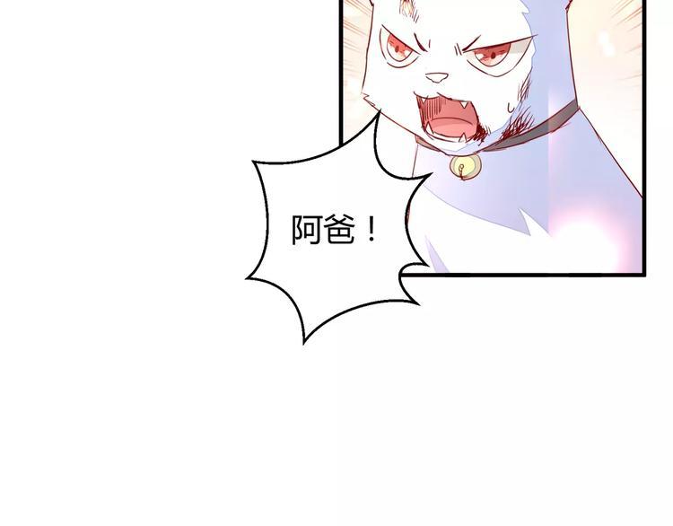 完结篇 新的开始21