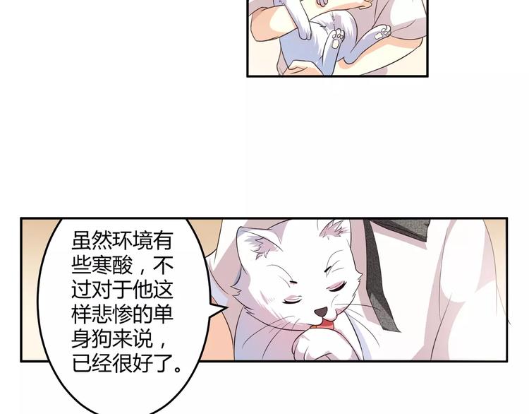 第5话 贤惠的单身狗27