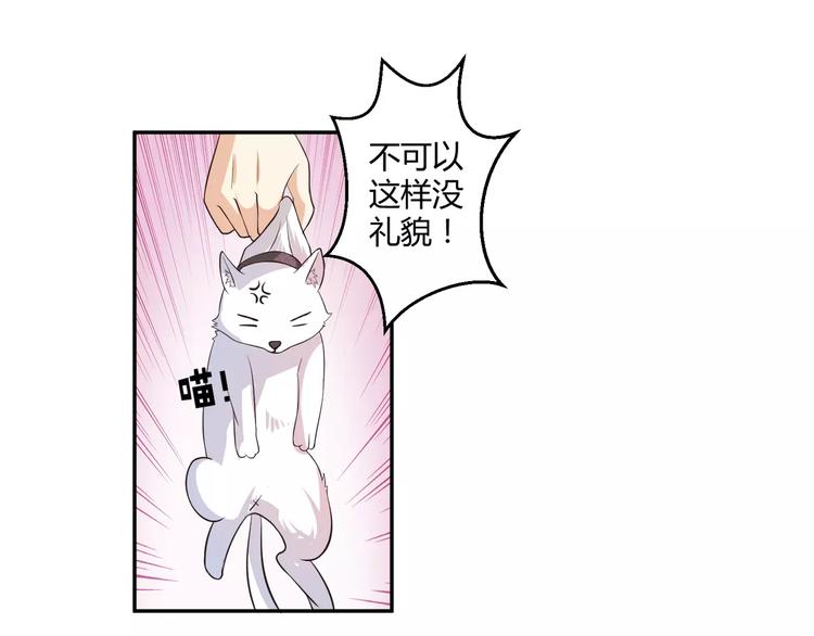 第5话 贤惠的单身狗35