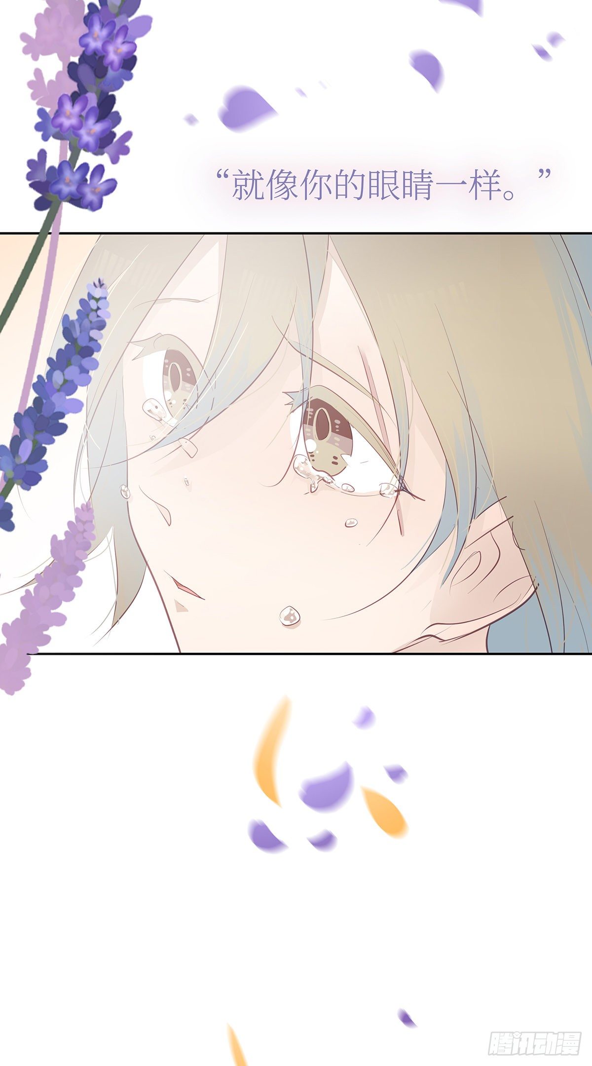 II·同眠44